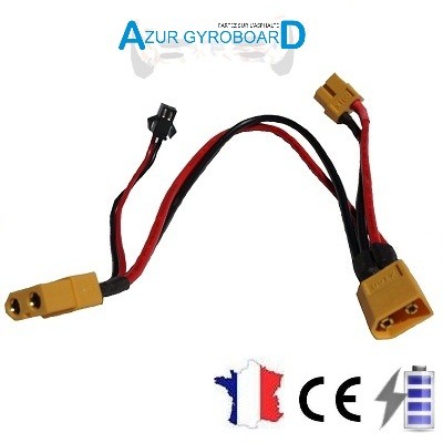 CABLE BATTERIE HOVERBOARD DUAL 